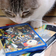 Illustration for article titled Cats Are Very Serious about Video Games